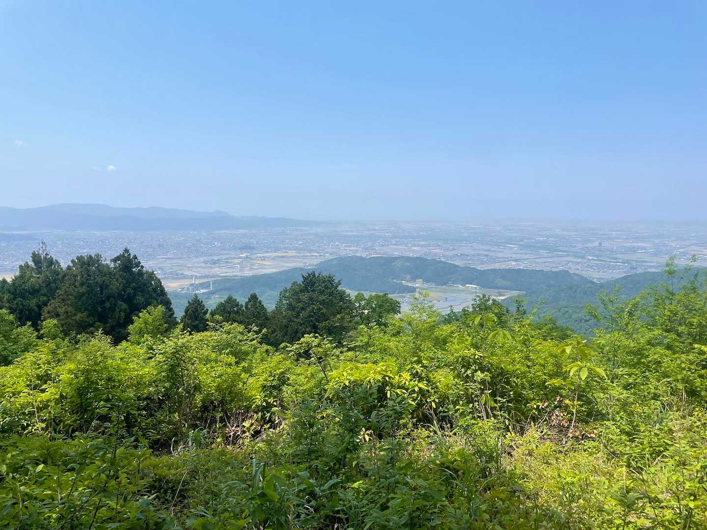 吉野ヶ岳 往復コースの写真