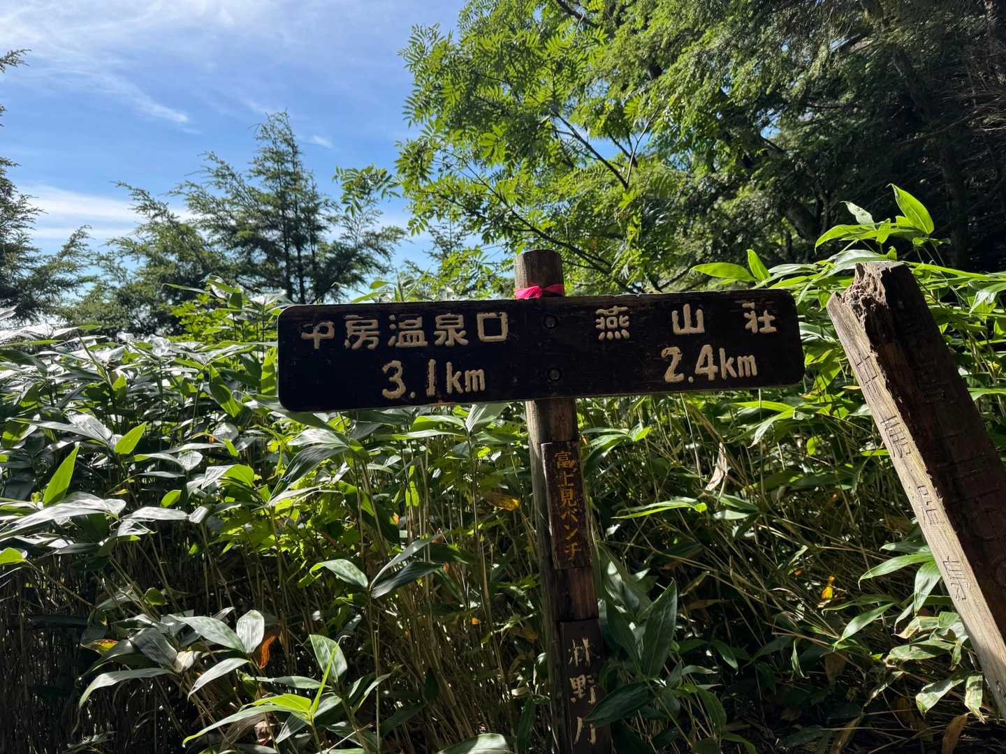 富士見ベンチ　富士山は見えなかったけど
風が通り抜け涼しいベンチでした