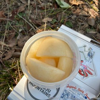 良く冷えた梨もいただきます🍐