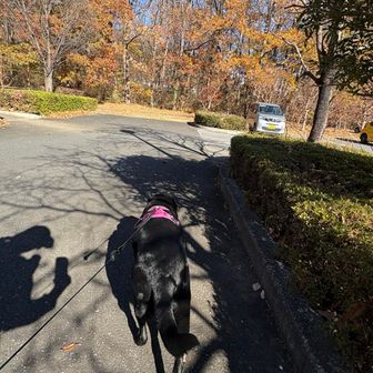 1番近い山？三毳山⛰️へ。