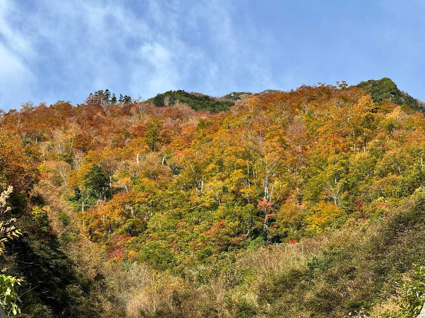 紅葉🍁いい感じです
この辺りはこのあともっといい色になりそう