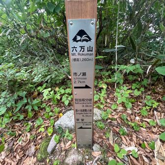 六万山到着　ここまで53分
三角点探したけど……なかった