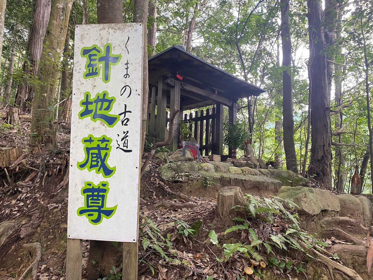 聖なる森で耳を澄ませる和歌山・熊野古道①コースの写真