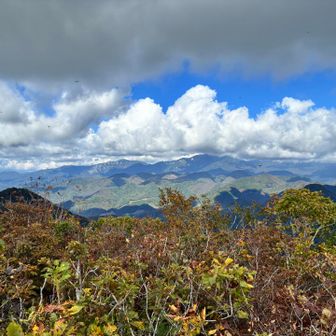 茅ヶ岳山頂から瑞牆山が見えます