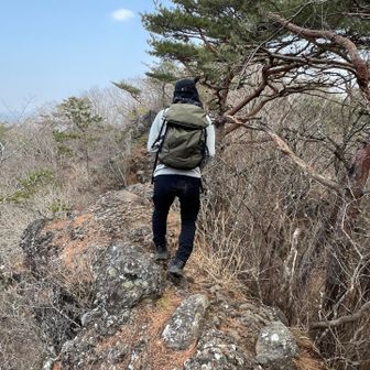 プチ蟻の戸渡り🐜