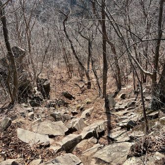 写真では全く分かりませんが、かなりの急登