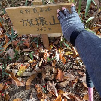 この後、痛恨の道間違え。