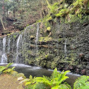 ちすじの滝
小さいけど中々素敵な滝だったよ😍