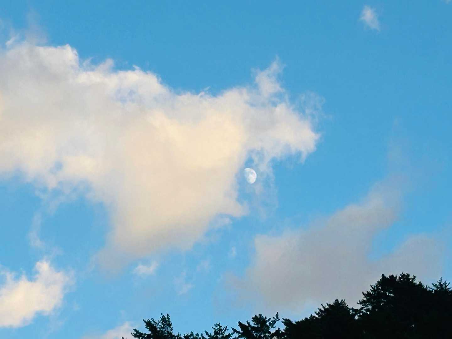 空を見上げたら青空にお月様