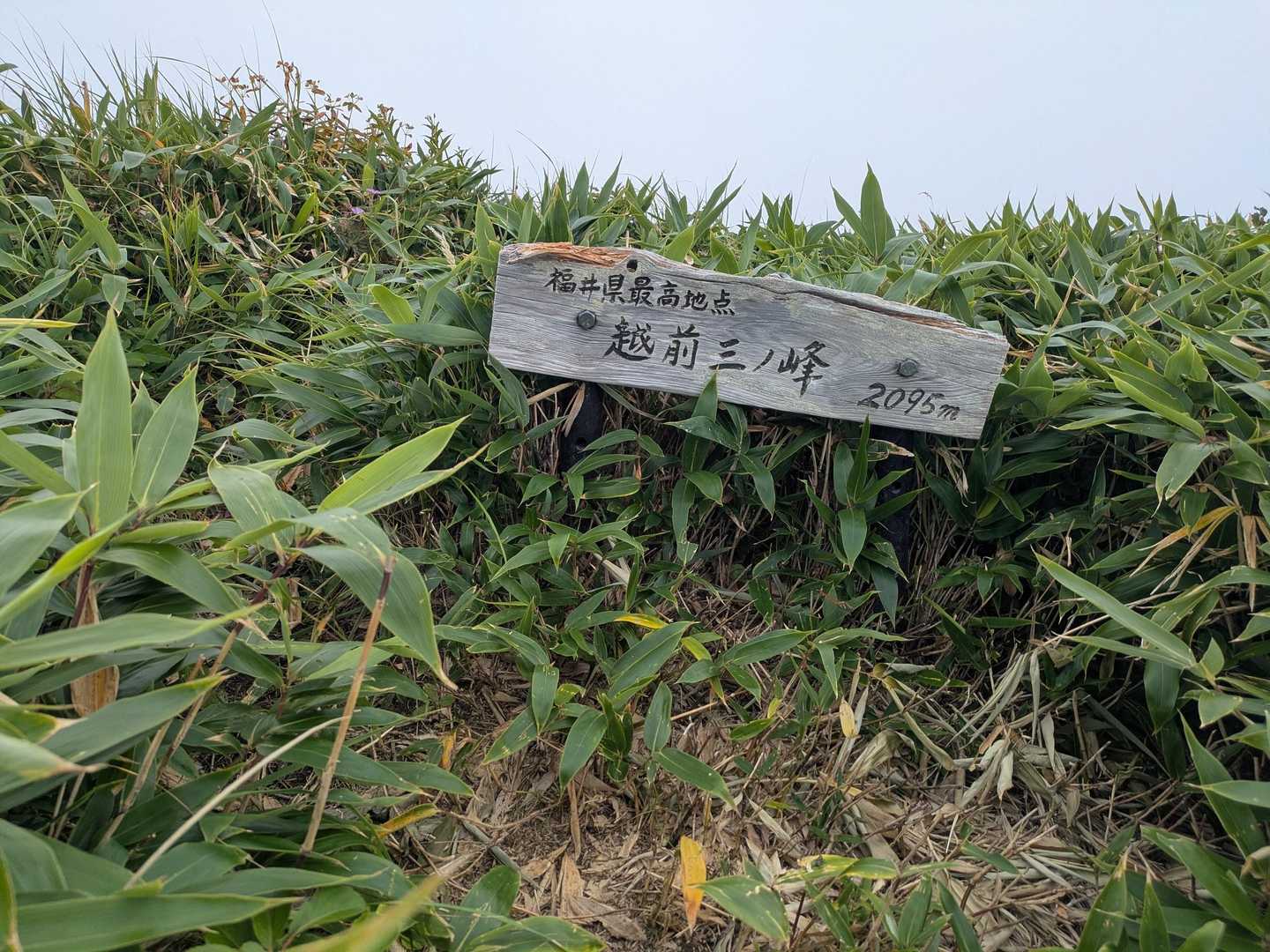 越前三ノ峰 登頂♪