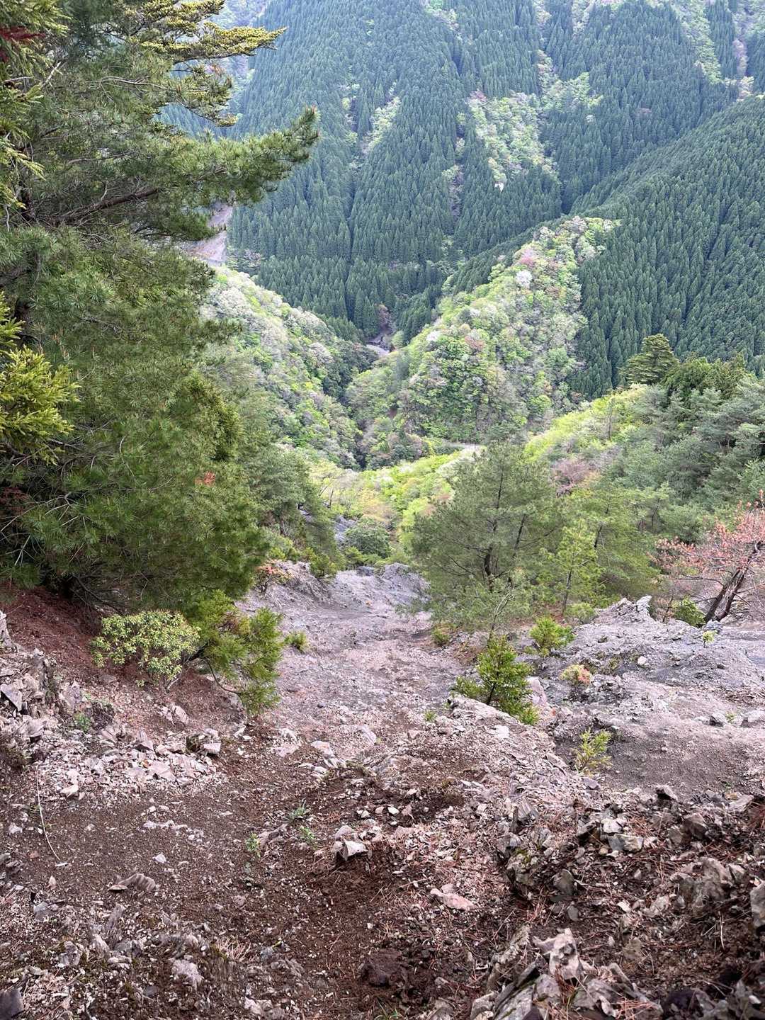 写真だと分かりにくいけど、ほぼ崖😱💦
一歩進む毎に足元や近くの岩の確認しないと、ホントに滑り落ちる、、、💦
何度も何度も掴んだ岩が崩れて、転がり落ちていく🪨自分にもぶつかるし😣💥
なかなかスリリングでした⚠️
