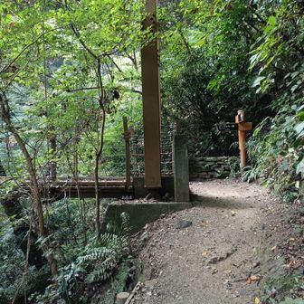 吊り橋のある４号路を下りに選び、、、👍️