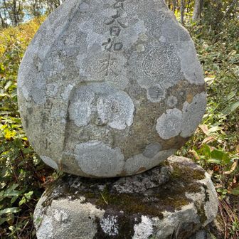 大日如来は山頂に背を向け、黒田地区（と思われる）方向を向いています。
石碑には大日如来の文字の下に像が彫られています。また、右側に「昭和五年旧三月」、左側に「願主 黒田講連中」と刻まれています。
