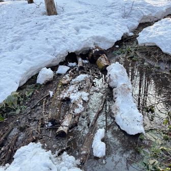 登山口直ぐの所の
いつものぐちゃの所、昨年も木々を敷いたが今年も敷き直ししなければと思いました。下水工事みたいにしないとダメかなとも思いました。