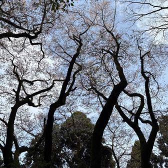 うーん
光の向きかな