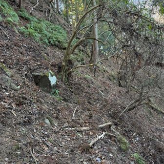 写真では伝わりにくいですが、柚之木の頭へのアプローチです。
かなりザレていて、踏み跡もしっかり分かりません😢
充分に注意👀が必要ですね😮‍💨