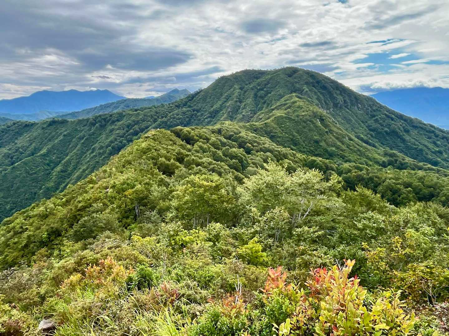 権現堂山周回 | 戸隠神社の境内を抜け、ブナ林と越後三山の大展望を歩くの写真