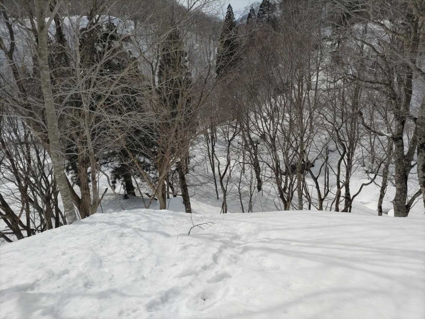 雪道の下りは楽しくて٩( 'ω' )و 
一気に下ってきました