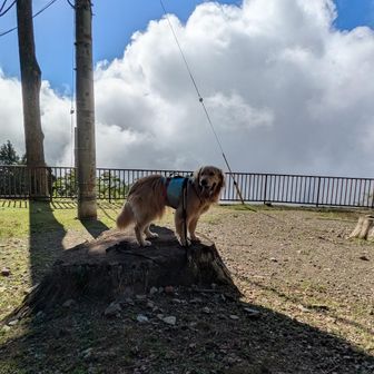 山頂からも見えない🗻