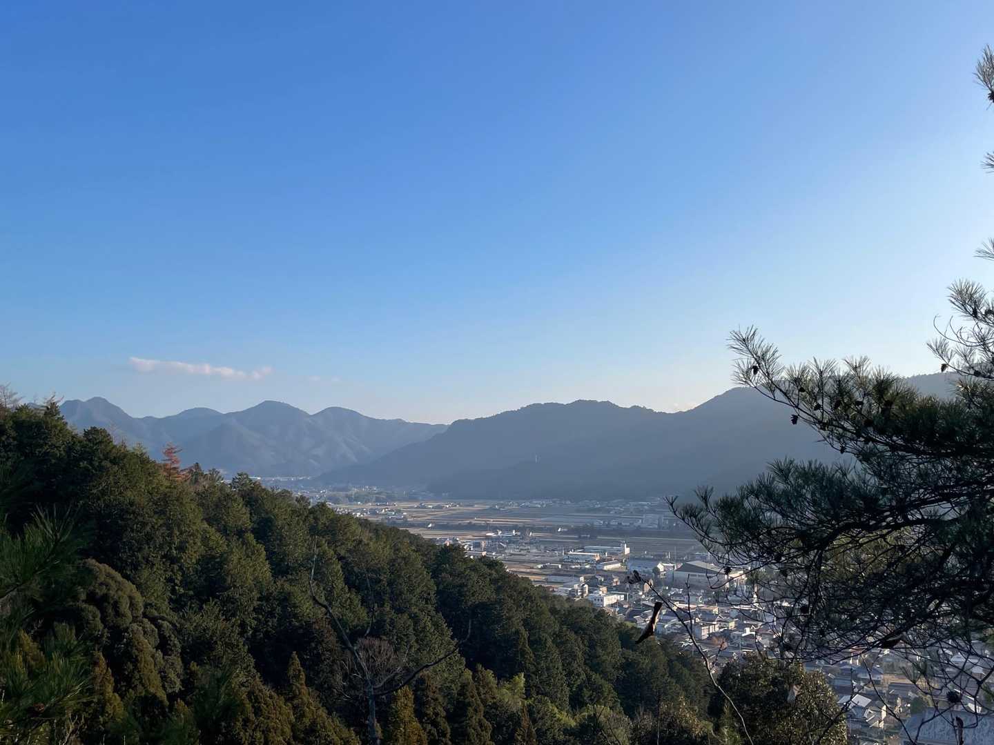 今年はここまで暖かい日が多いですね