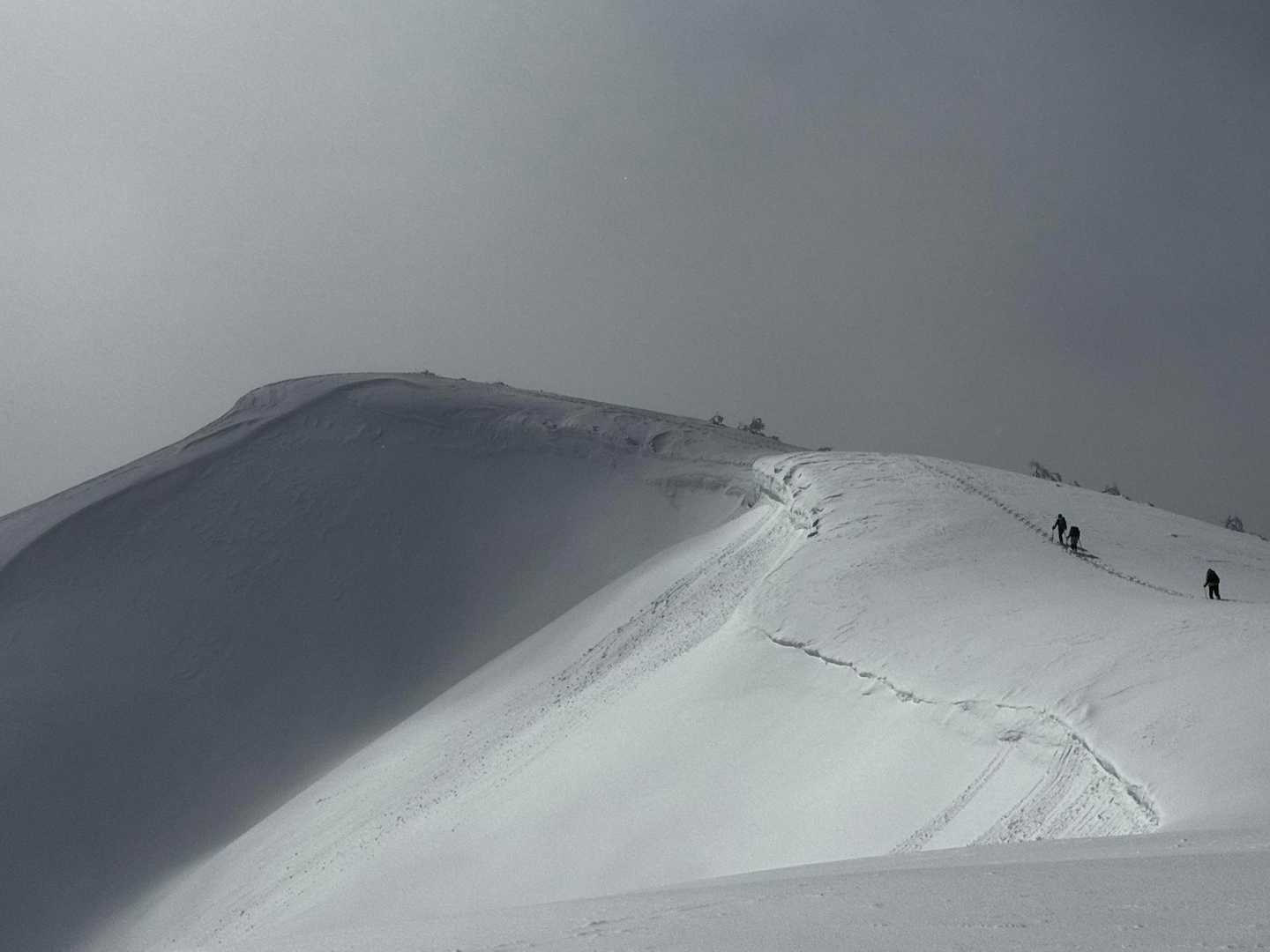 少し雪が降ったので
美しい🤩
