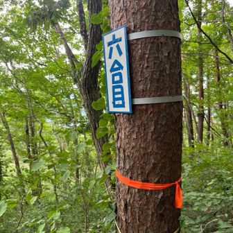 下山途中の六合目