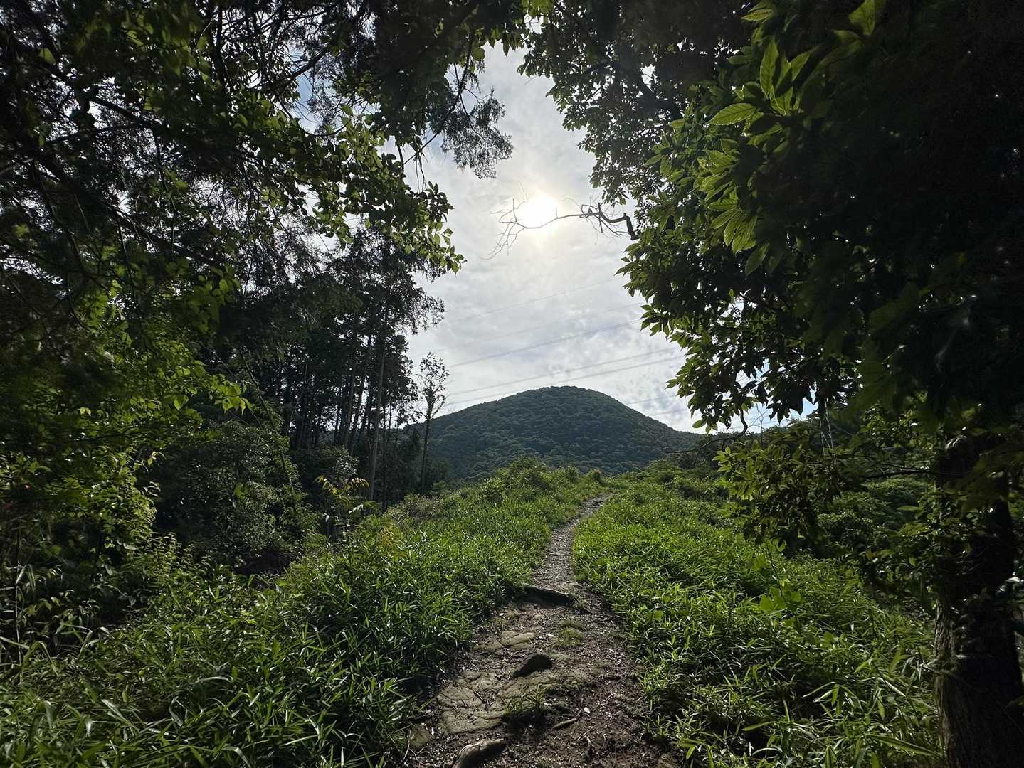 雄岳が見えて来ました