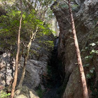 滝はやっぱり水量少なめ