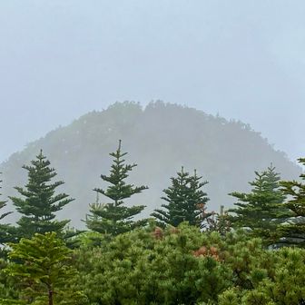 笊ヶ岳山頂からの小笊