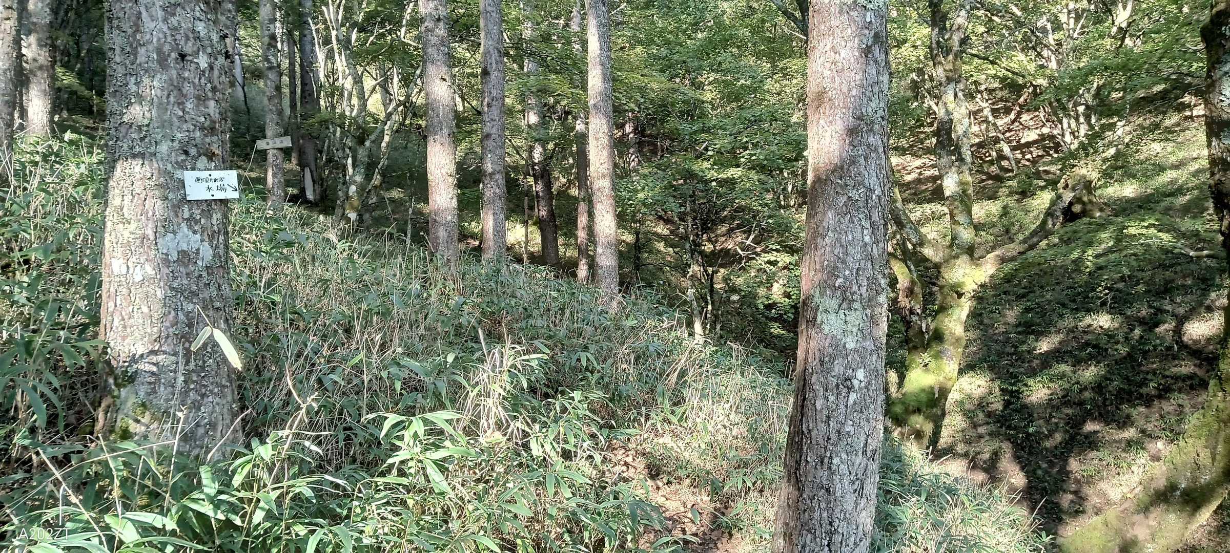 水場は帰りに見に行きました