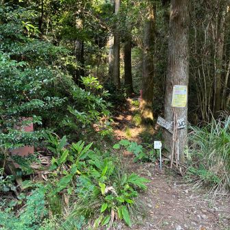 ココからが登山口！