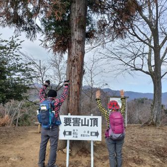 ピ―ク⑤―要害山山頂