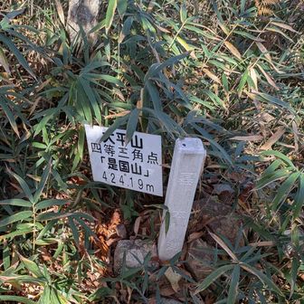 大平山の三角点