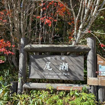 大清水
標高1,180m
