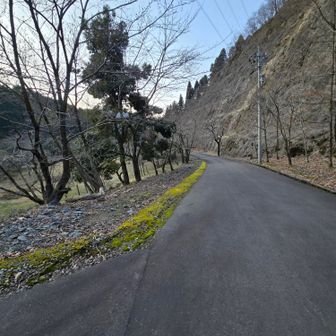 フキノトウを探しながらのんびり歩きます