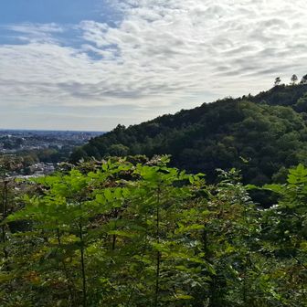 龍厓山