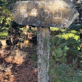 魔子（まこ）の山山頂

登ってる時に小学校の時、真子（まこ）さんて女の子が隣の席だったことをふと思い出しました
和歌山から神奈川に転校して来たシャイな自分に教科書忘れた時は一緒に見せてくれたり、消しゴム無くした時は貸してくれたり親切にしてもらったなと🙏