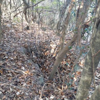 この窪みは池か🐗風呂か？