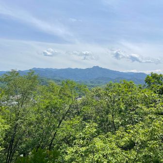 見晴台からの景色