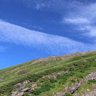 いいお天気☀️
雲の形が秋模様です