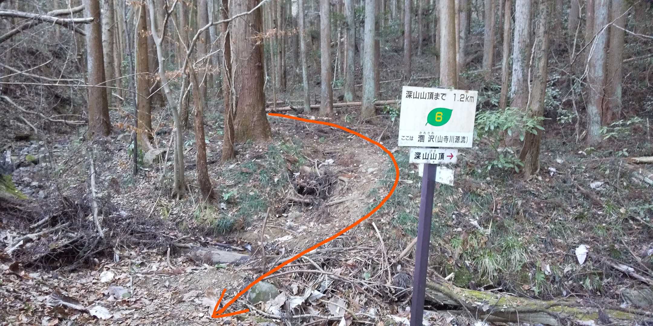 ここに合流して、駒がえしコースを下山します。楽しかった😆