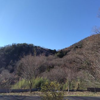 GoodMorning☀

清水寺駐車場🅿️利用

あちら…☝️
今年の干支にちなんだ『馬不入山』かなぁ🐎

晴天ﾃﾞｽｶﾞ…☀
時折冷た~~い風も吹くぅ~~~さぶい~😱