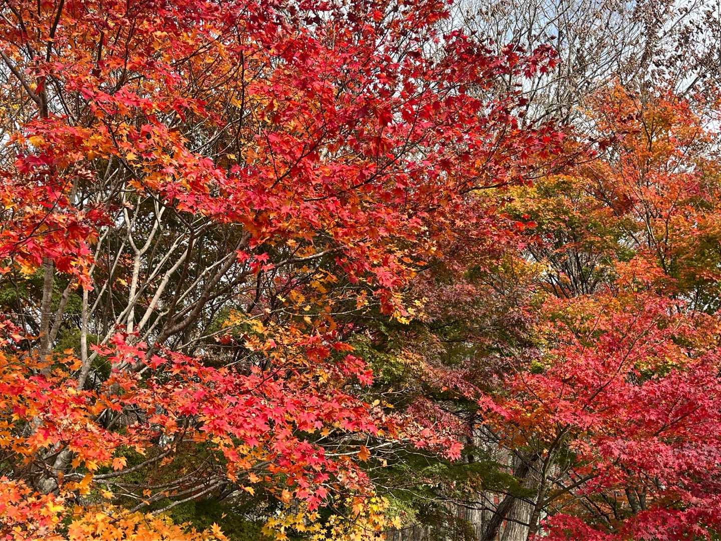 見納め
無事下山🚩