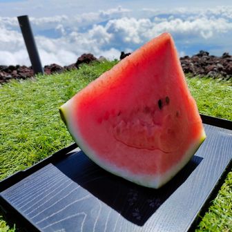 ECマスターズ登山クラブ　松本