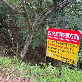 気になっていた政次郎尾根で大倉まで