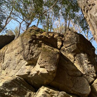 「大岩」🪨
およそ200万年前、地殻変動によって出来たとか。…😱

この先、道幅狭く、ザレ、急坂、続きます。　行かれる方はご注意を！💦