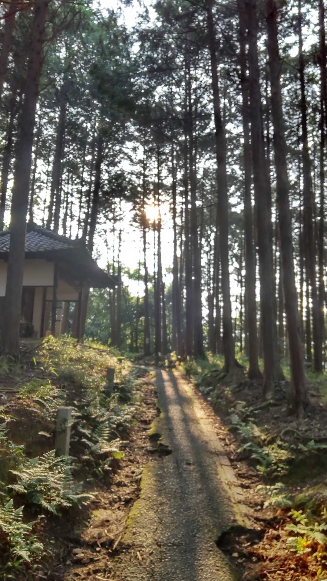 仁和寺八十八ヶ所ウォーク入口-成就山-御室八十八個所結願所 周回コースの写真