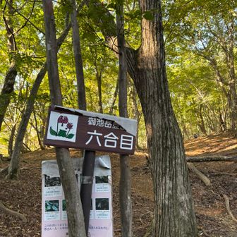 あっという間に六合目に到着、ちょっとペースが早かったかも。