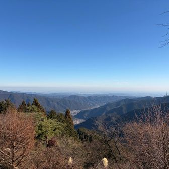 ケーブルカー山頂駅からいい眺め
