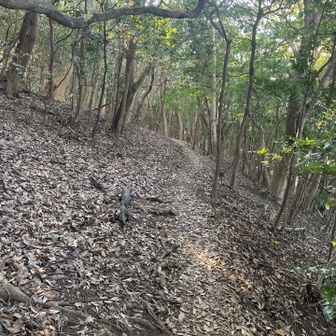 ルートに戻って